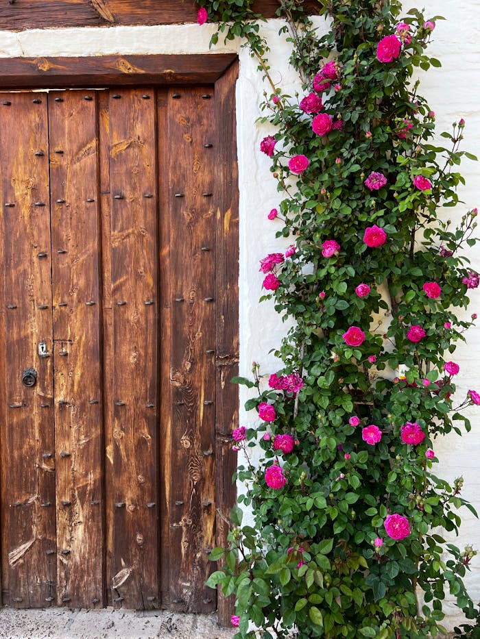 services-02 Beautiful wooden door adorned with lush climbing roses in full bloom, adding charm and nature to the exterior.